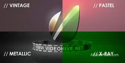 Logo Sting 4 Styles Logo Stings template preview