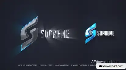 Logo Sting Logo Stings template preview