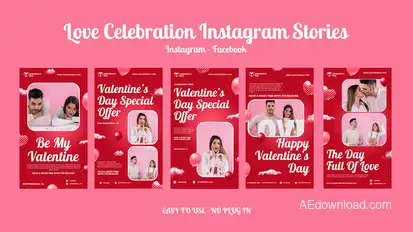 Love Celebration Instagram Stories Openers template preview