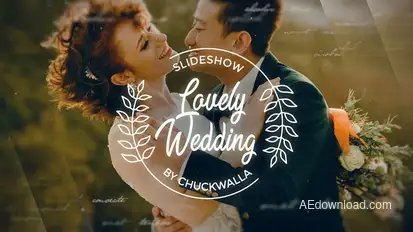 Lovely Wedding Slideshow Video Displays template preview