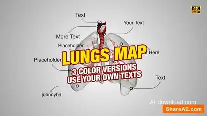 Lungs Map 4K Openers template preview