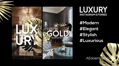 Luxury Instagram Stories Product Promo template preview