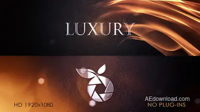 Luxury Logo Intro Logo Stings template preview