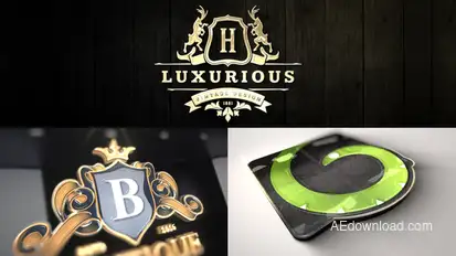 Luxury Mockup Kit - Glossy Logo Intro Logo Stings template preview