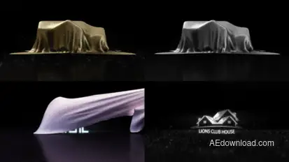 Luxury Real Estate Logo Reveal Logo Stings template preview