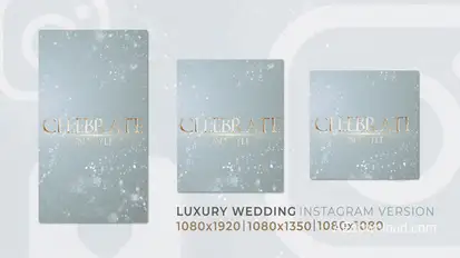 Luxury Wedding | Romantic Love Instagram Reel Video Displays template preview