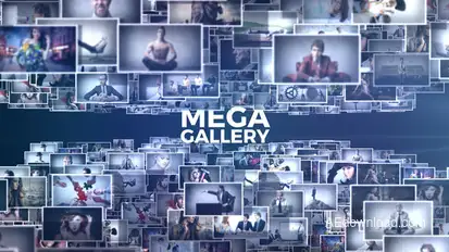 Mega Gallery Video Displays template preview