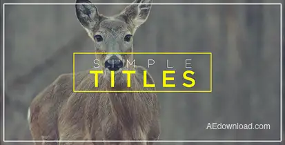 Minimal Transitions & Titles Openers template preview