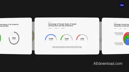 Minimalistic Pie Charts Infographics template preview