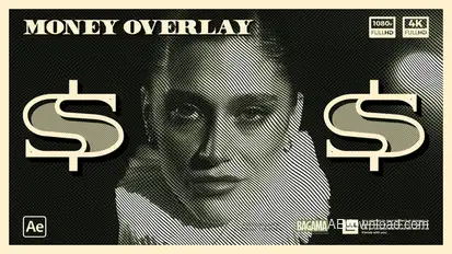 Money Texture Overlay Elements template preview