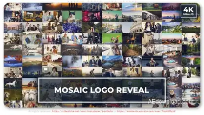 Mosaic Photo Logo Reveal Logo Stings template preview