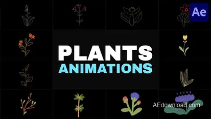 Nature Plants Kids Drawings Animation for After Effects Elements template preview