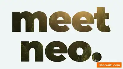 Real Estate Promo Openers template preview