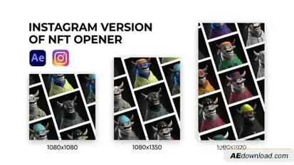 NFT Promo Instagram Openers template preview