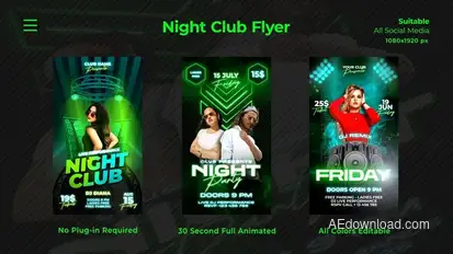 Night Club Flyers Openers template preview