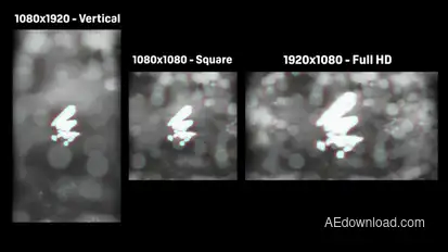 Noir | Logo Reveal Logo Stings template preview