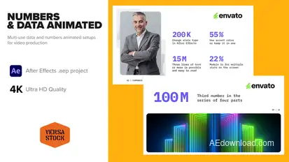 Numbers & Data Statistics Animated Video Displays template preview