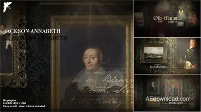 Old Mansion Gallery Video Displays template preview