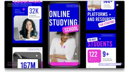 Online Challenge Study Stories Product Promo template preview