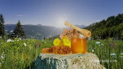 Organic Product Intro Logo Stings template preview