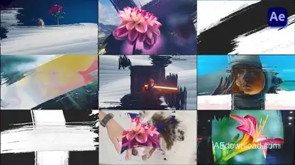 Paint Brush Transitions Pack [After Effects] Elements template preview