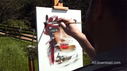 Paint Reveal Video Displays template preview