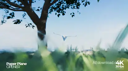 Paper Plane Opener Openers template preview