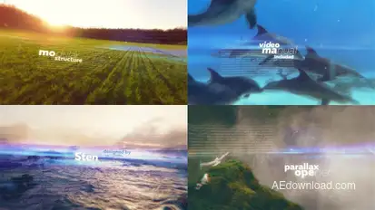 Nice Parallax Video Displays template preview