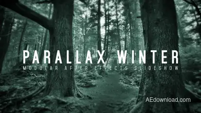 Parallax Winter Openers template preview