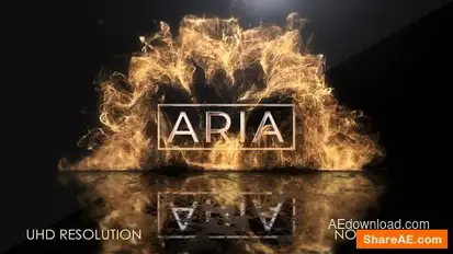 Particle Explosion Logo Reveal Logo Stings template preview