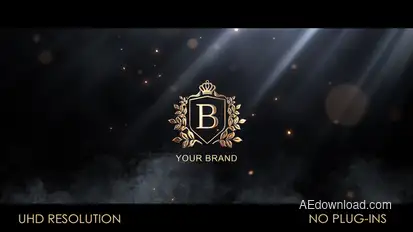 Particle Flow Logo Reveal Logo Stings template preview