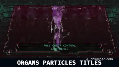 Particles Organs Titles Titles template preview