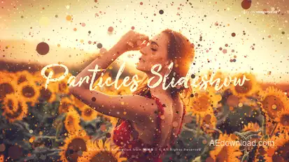 Particles Slideshow Video Displays template preview