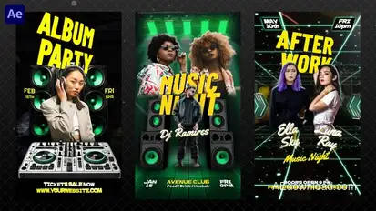 Party Instagram Reels Video Displays template preview