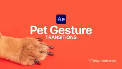 Pet Gesture Transitions for After Effects Elements template preview