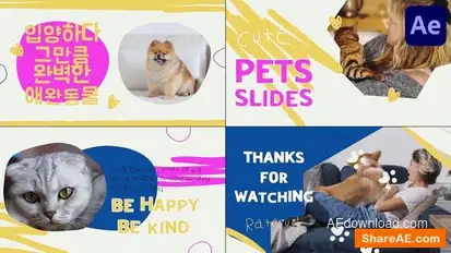 Pets Slides | After Effects Openers template preview