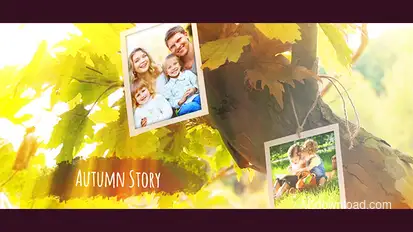Photo Gallery Video Displays template preview