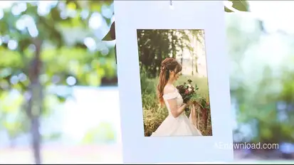 Photo Gallery Under Tree Video Displays template preview