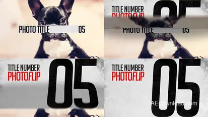 PhotoFLIP Slideshow Video Displays template preview