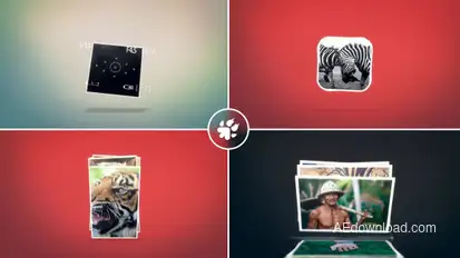 Photographer Identity Logo Logo Stings template preview