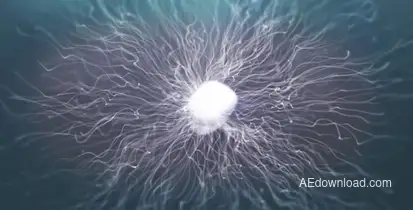 Power Behind The Logo - Cinematic Logo Reveal Openers template preview