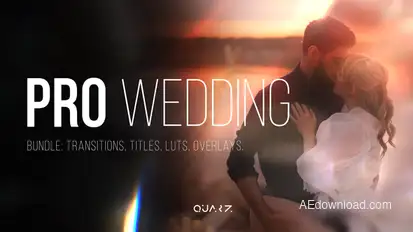 Pro Wedding Bundle for After Effects – Transitions, Titles, LUTs, Overlays Elements template preview