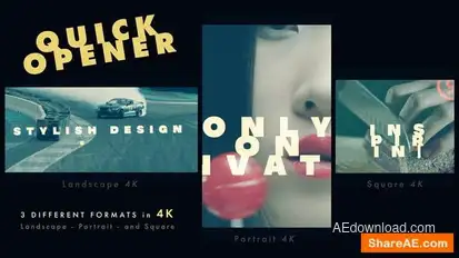 Quick Opener Openers template preview