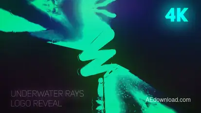 Rays Logo Reveal Logo Stings template preview