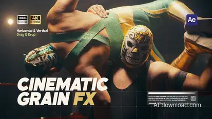 Real Grain Overlay Effect Elements template preview