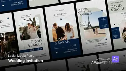 Reels - Wedding Invitation Video Displays template preview