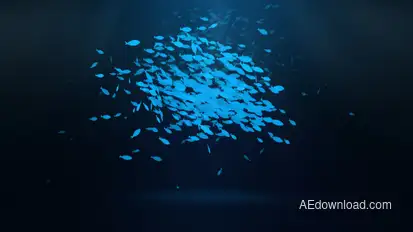 School Of Fish Logo Reveal Logo Stings template preview