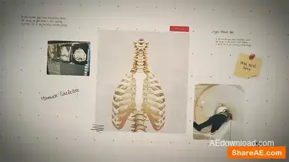 Science Project Presentation Openers template preview