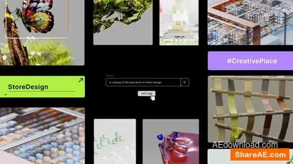 Search Bar Logo Reveal Openers template preview