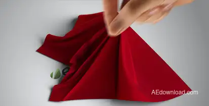 Silk Shawl Logo Reveal Logo Stings template preview